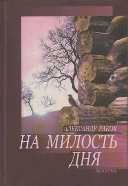 Александр Раков На милость дня. Былинки обложка книги
