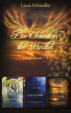 Laura Schmolke Die Chroniken der Wandler обложка книги