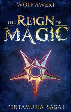 Wolf Awert The Reign of Magic обложка книги