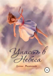 Данис Маннапов - Упасть в Небеса