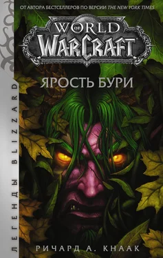 Ричард Кнаак World of Warcraft. Ярость Бури обложка книги