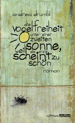 Andrea Drumbl - Die Vogelfreiheit unter einer zweiten Sonne, weil die erste scheint zu schön