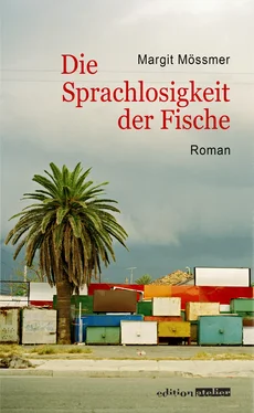 Margit Mössmer Die Sprachlosigkeit der Fische обложка книги