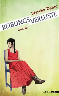Mascha Dabić Reibungsverluste обложка книги