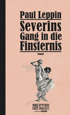 Paul Leppin Severins Gang in die Finsternis обложка книги