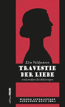 Else Feldmann Travestie der Liebe обложка книги