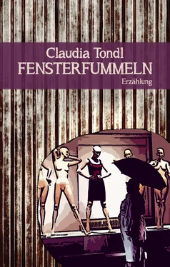 Claudia Tondl Fensterfummeln обложка книги