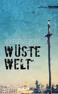 Wolfgang Popp Wüste Welt обложка книги