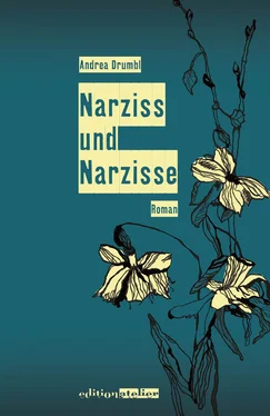 Andrea Drumbl Narziss und Narzisse обложка книги