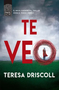 Teresa Driscoll Te veo обложка книги