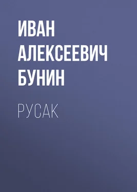 Иван Бунин Русак обложка книги