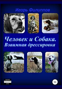 Игорь Филиппов Человек и собака. Взаимная дрессировка обложка книги