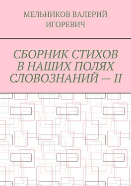 ВАЛЕРИЙ МЕЛЬНИКОВ СБОРНИК СТИХОВ В НАШИХ ПОЛЯХ СЛОВОЗНАНИЙ – II обложка книги