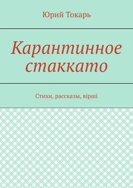 Юрий Токарь Карантинное стаккато. Стихи, рассказы, вірші