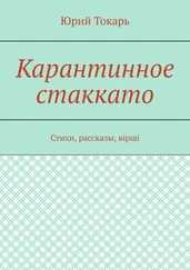Юрий Токарь - Карантинное стаккато. Стихи, рассказы, вірші