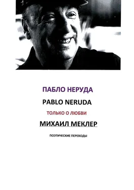 Пабло Неруда Поэтические переводы. Пабло Неруда обложка книги