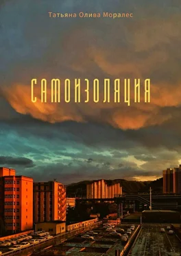 Татьяна Олива Моралес Самоизоляция обложка книги