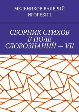 ВАЛЕРИЙ МЕЛЬНИКОВ СБОРНИК СТИХОВ В ПОЛЕ СЛОВОЗНАНИЙ – VII обложка книги