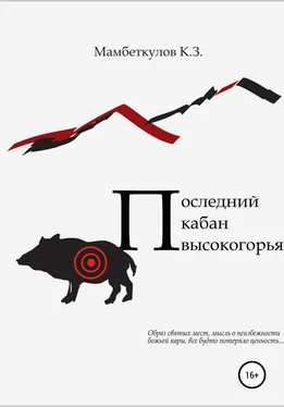 Кожоке Мамбеткулов Последний кабан высокогорья обложка книги