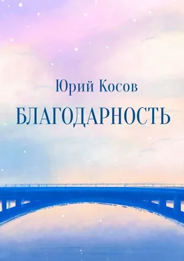 Юрий Косов Благодарность обложка книги