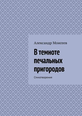 Александр Моисеев В темноте печальных пригородов обложка книги