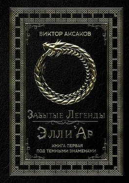 Виктор Аксаков Забытые Легенды Элли'Ар. Книга первая. Под темными знаменами обложка книги