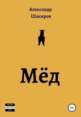 Александр Шакиров Мёд обложка книги