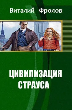 Виталий Фролов Цивилизация страуса обложка книги