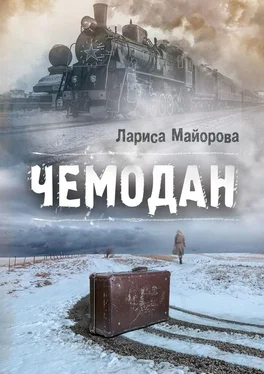 Лариса Майорова Чемодан обложка книги