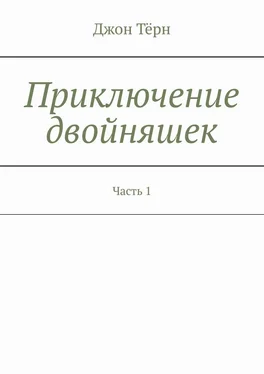 Джон Тёрн Приключение двойняшек. Часть 1 обложка книги