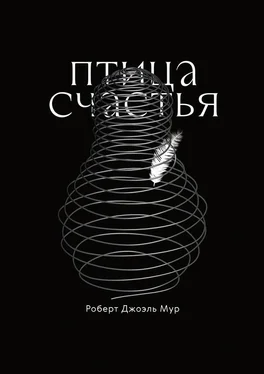 Роберт Джоэль Мур Птица счастья. Сказка обложка книги