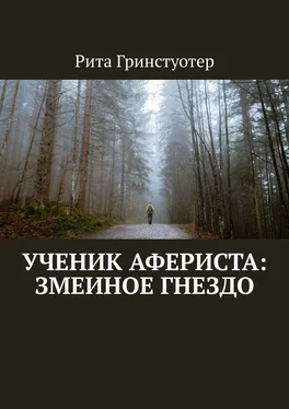 Рита Гринстуотер Ученик Афериста: Змеиное Гнездо обложка книги