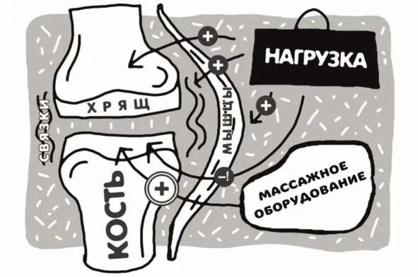 Регенерация хрящевой ткани 4 УНИКАЛЬНЫЙ ТУРМАНИЙ Не так давно я открыл для - фото 3