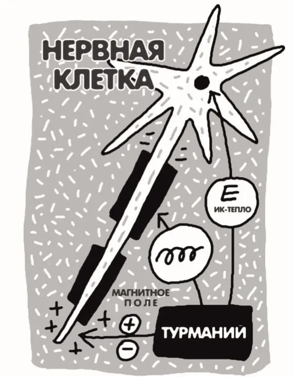 Влияние турмания Попадая в живую ткань такие лучи выбивают из своих уровней - фото 5