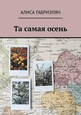 Алиса Габриэлян Та самая осень обложка книги