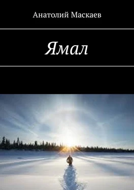Анатолий Маскаев Ямал обложка книги