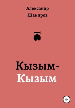 Александр Шакиров Кызым-Кызым обложка книги