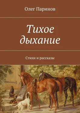 Олег Паринов Тихое дыхание. Стихи и рассказы обложка книги