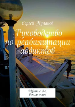 Сергей Кулаков Руководство по реабилитации аддиктов. 4-е издание обложка книги