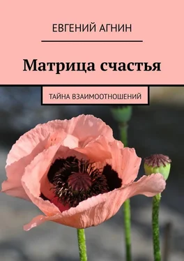 Евгений Агнин Матрица счастья. Тайна взаимоотношений обложка книги