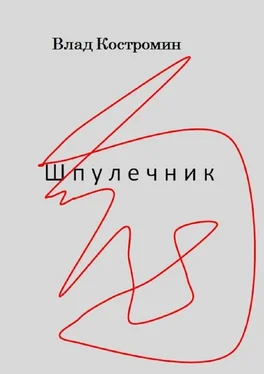 Влад Костромин Шпулечник обложка книги