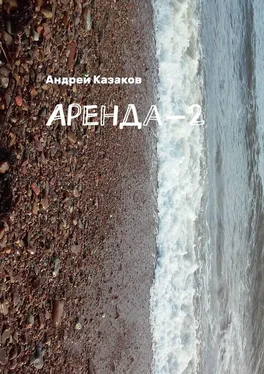 Андрей Казаков Аренда-2 обложка книги