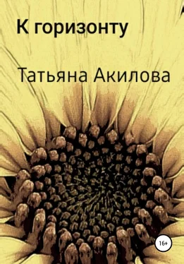 Татьяна Акилова К горизонту обложка книги
