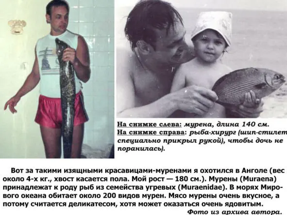 Вот почему очень многие брезгуют не только употреблять эту рыбу в пищу изза ее - фото 36