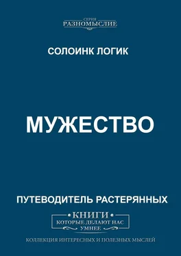 Солоинк Логик Мужество обложка книги