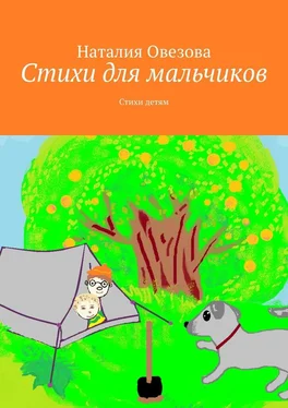 Наталия Овезова Стихи для мальчиков. Стихи детям обложка книги