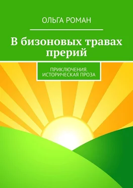 Ольга Роман В бизоновых травах прерий. Приключения. Историческая проза обложка книги