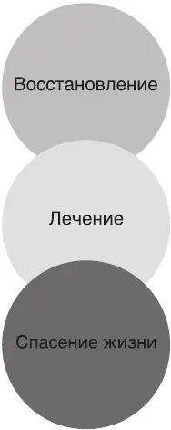 Три части целостной единой и неделимой медицины три в одном Нельзя - фото 12