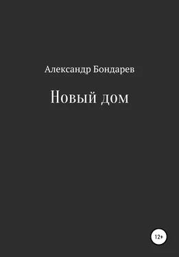 Александр Бондарев Новый дом обложка книги