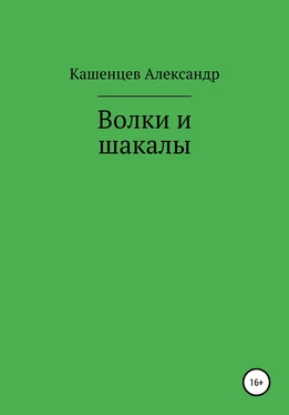 Кашенцев Кашенцев Волки и шакалы обложка книги